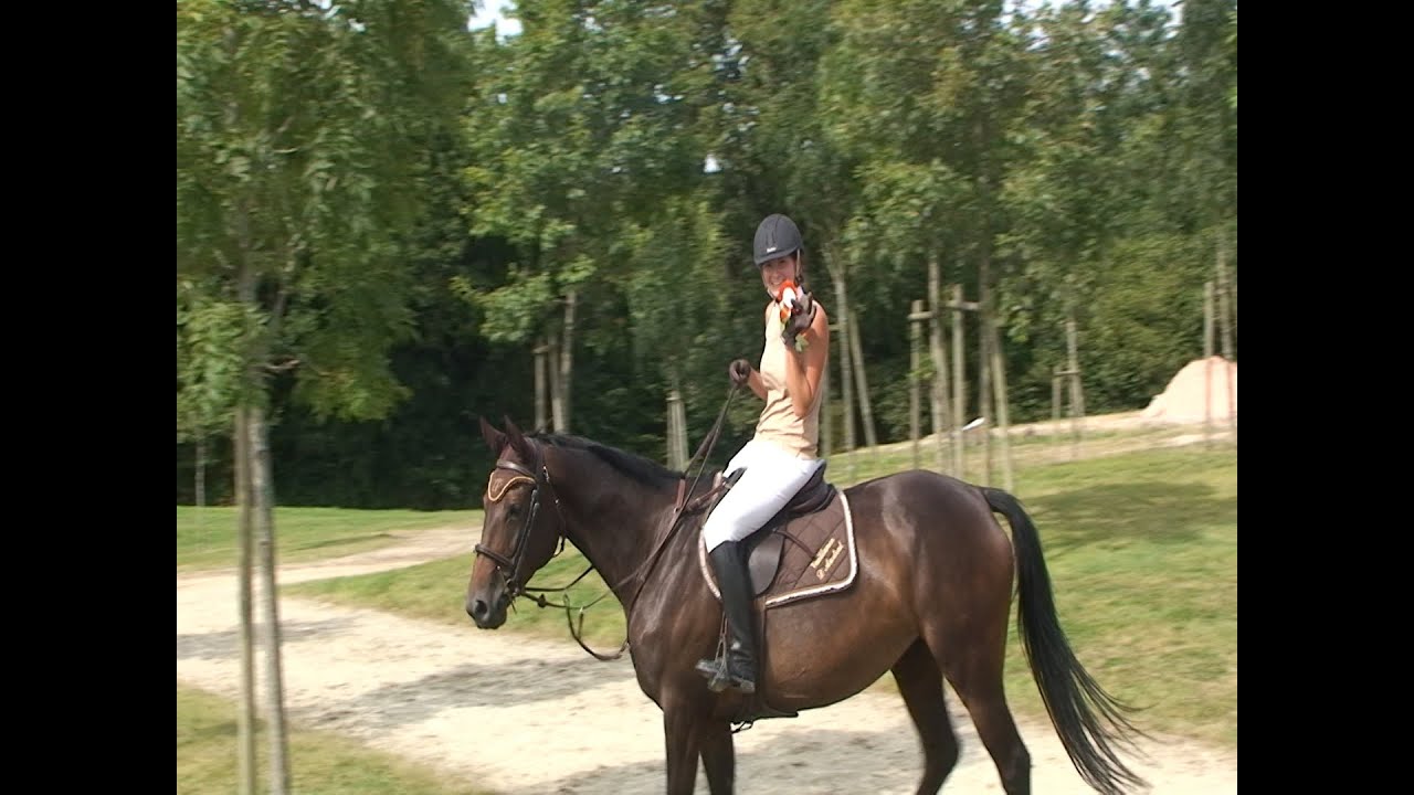 Normandie Horse Show 2014 St Lô le samedi 9 août 2014