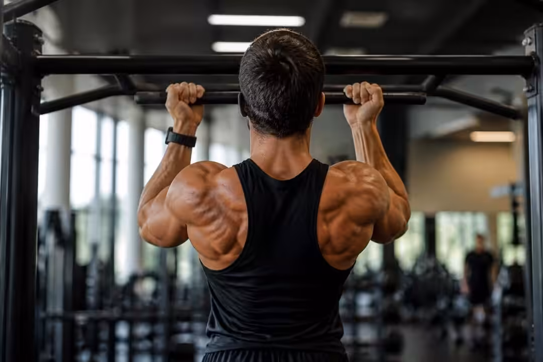 découvrez la technique de la supination à la traction et ses bénéfices pour améliorer votre force et votre posture lors des exercices de musculation.