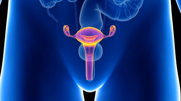 équilibre hormonal chez la femme : alimentation et régulation