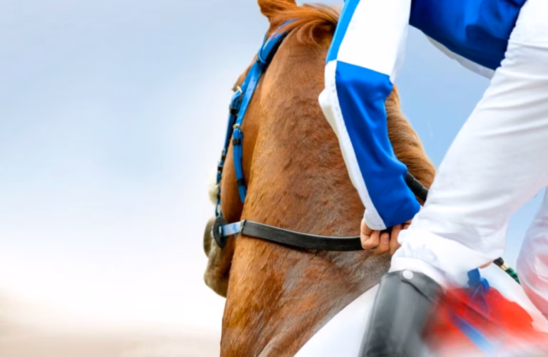 Gérard Cazeneuve souligne l’importance des soins quotidiens pour le bien-être des chevaux de course